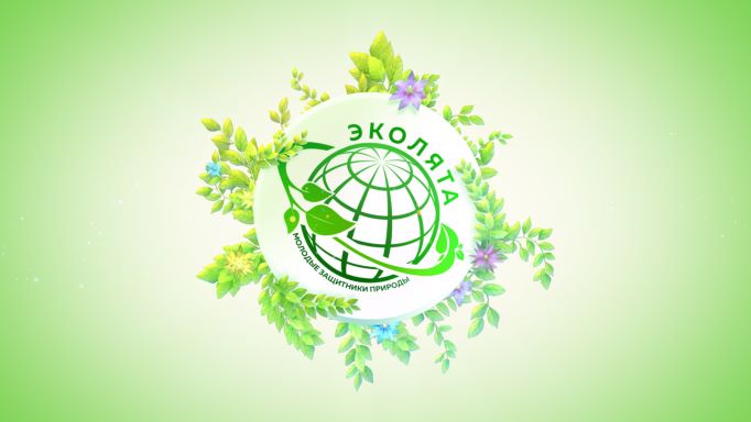 Ежегодная Всероссийская олимпиада «Эколята – молодые защитники природы».